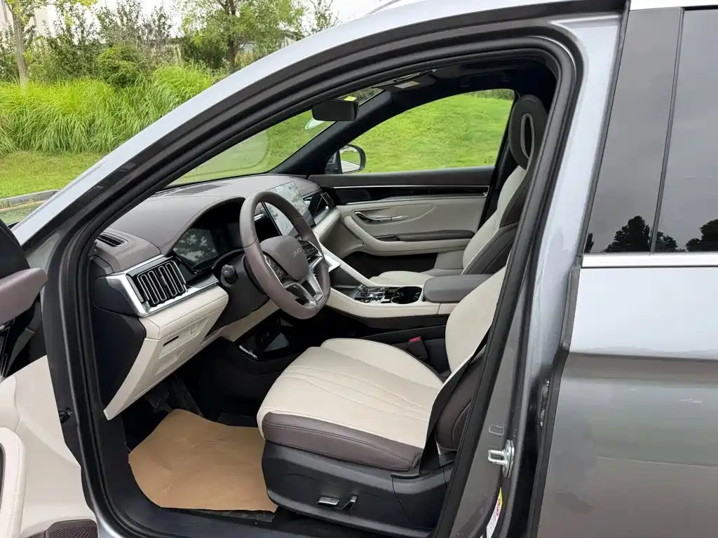BYD PLUS New Energy — миниатюра 4