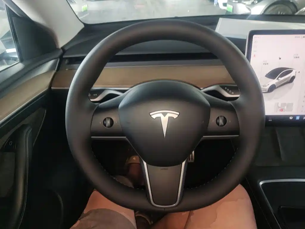Tesla Model Y — миниатюра 11