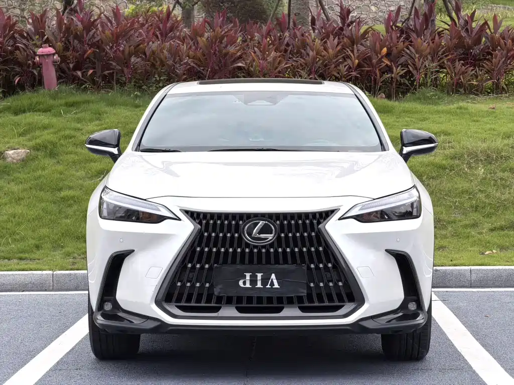 Lexus NX — миниатюра 3
