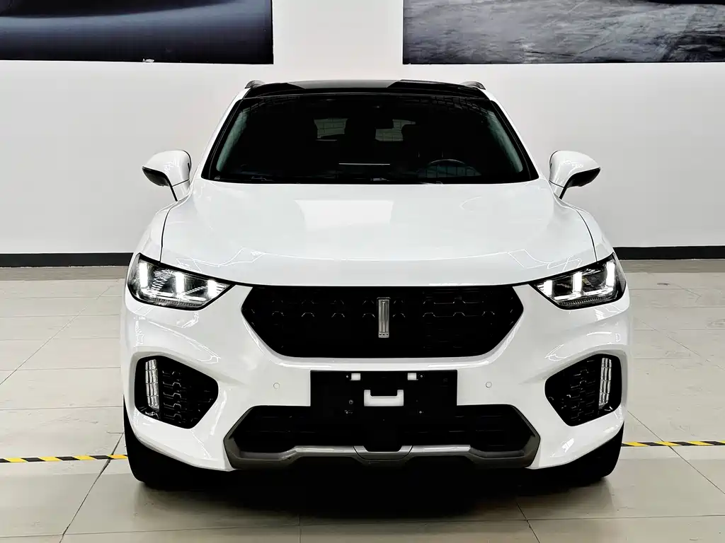 WEI PAI WEI BRAND VV5