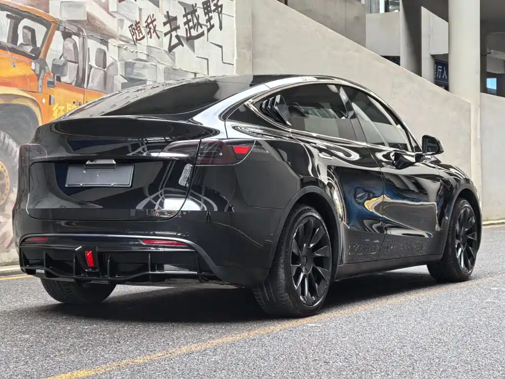 Tesla Model Y — миниатюра 5
