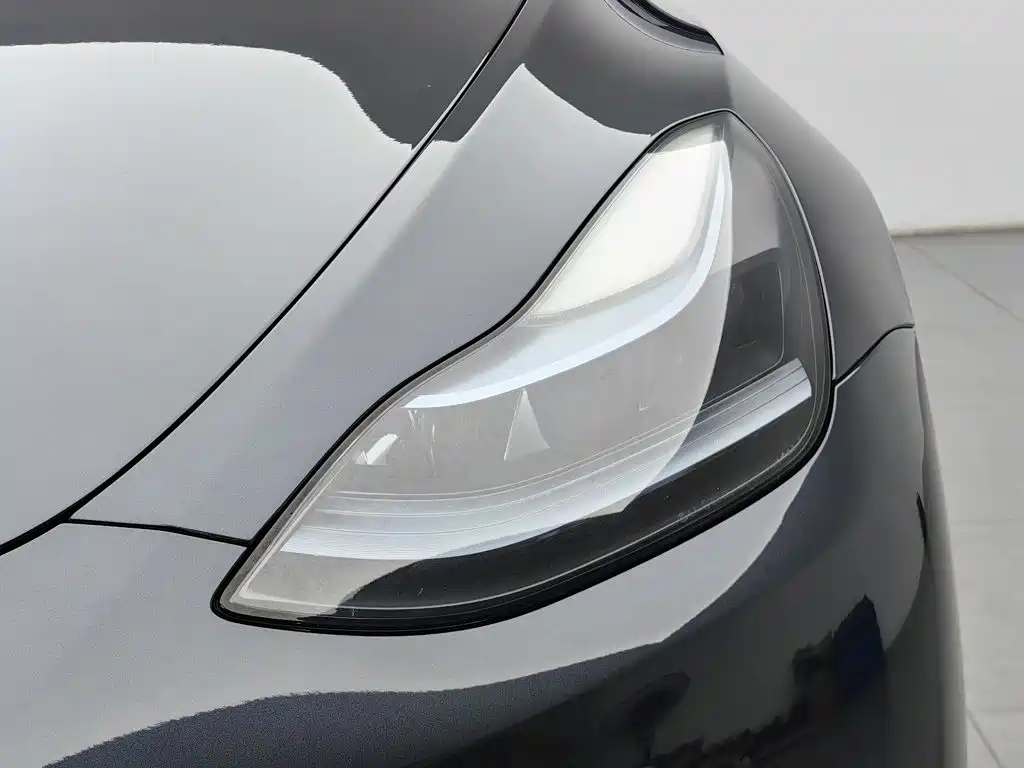 Tesla Model Y — миниатюра 7