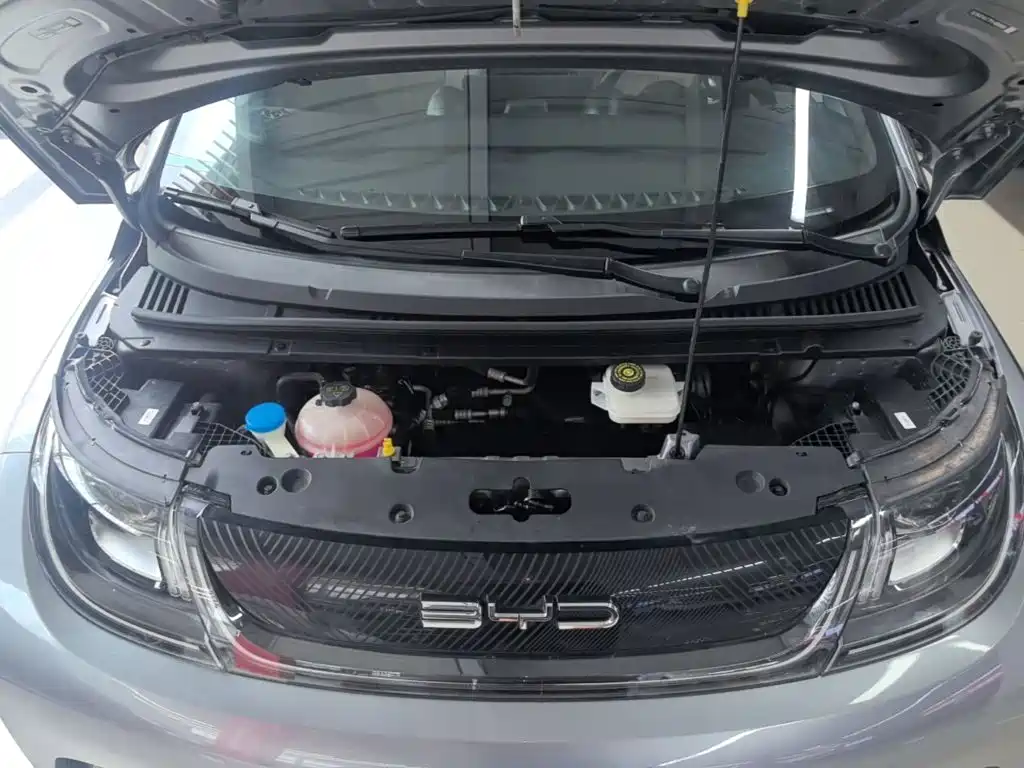 BYD Dolphin — миниатюра 20