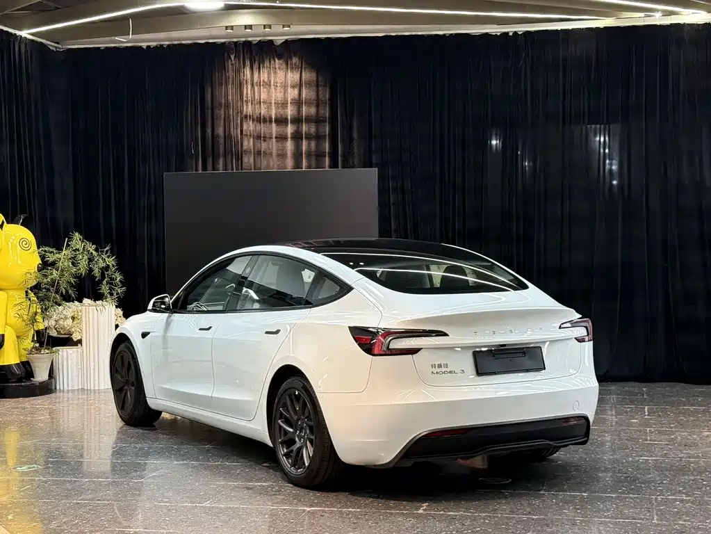 Tesla Model 3 — миниатюра 14