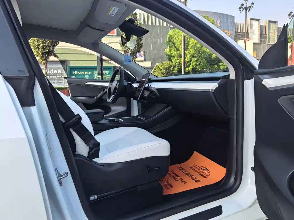 Tesla Model Y — миниатюра 10