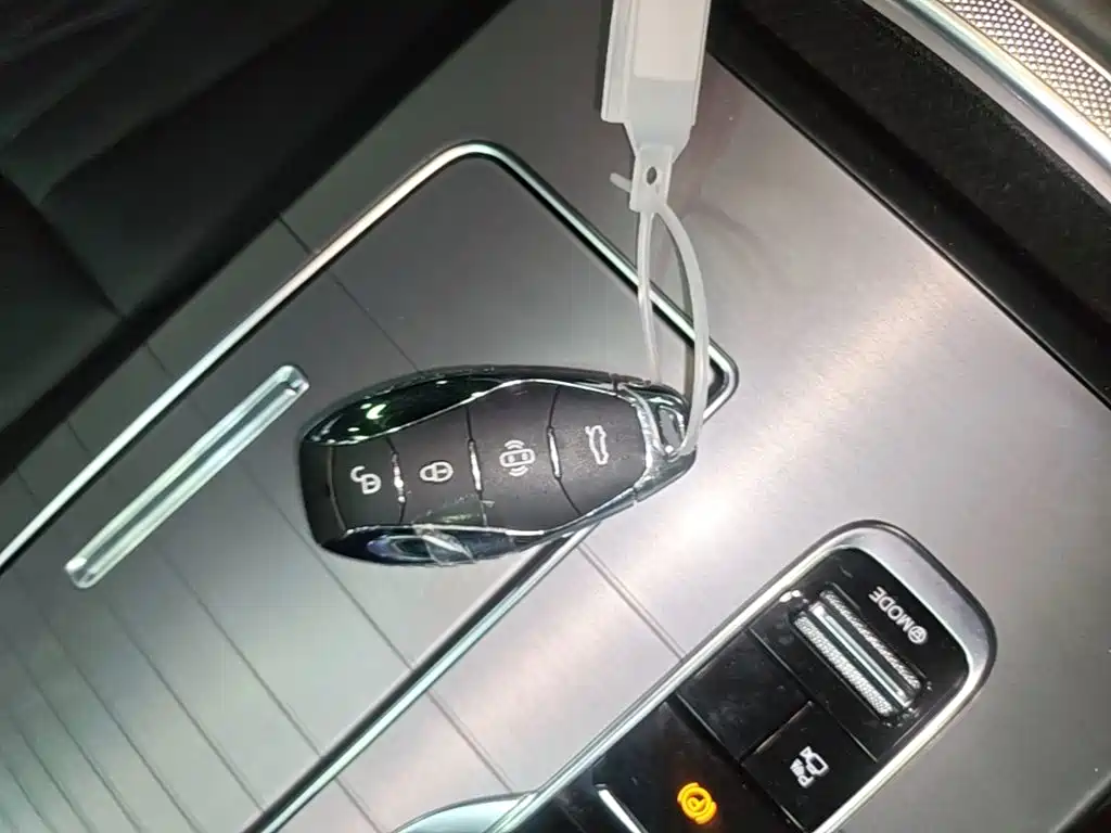 Hongqi Hongqi HS7 PHEV — миниатюра 9