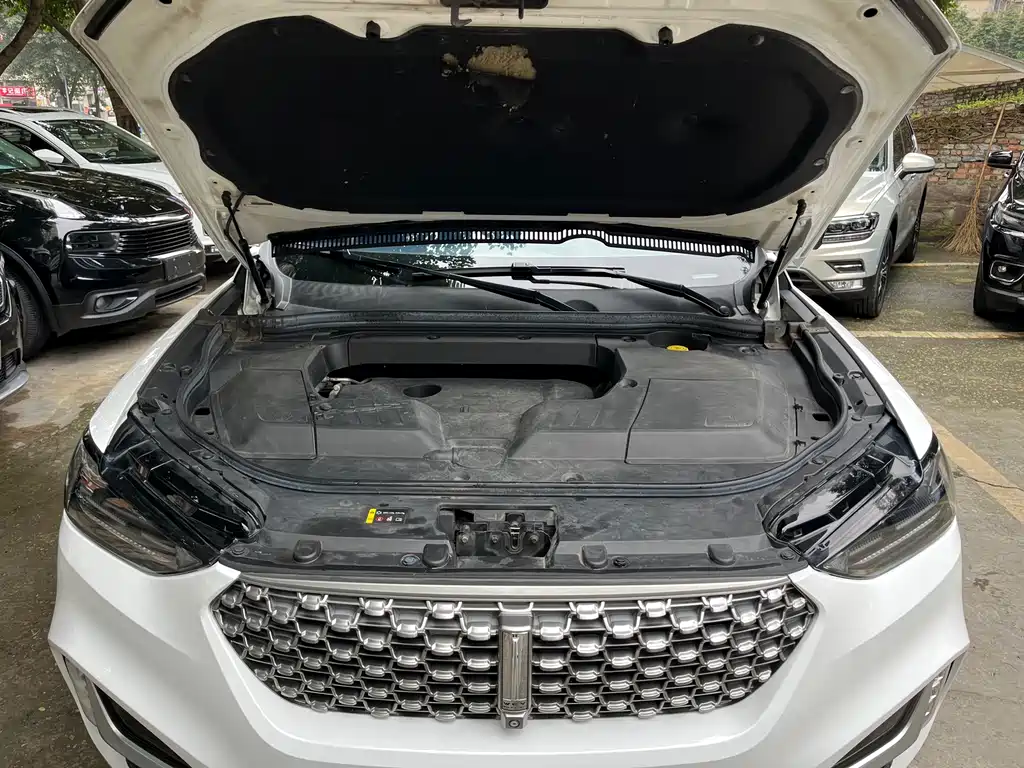 WEI PAI WEI BRAND VV6