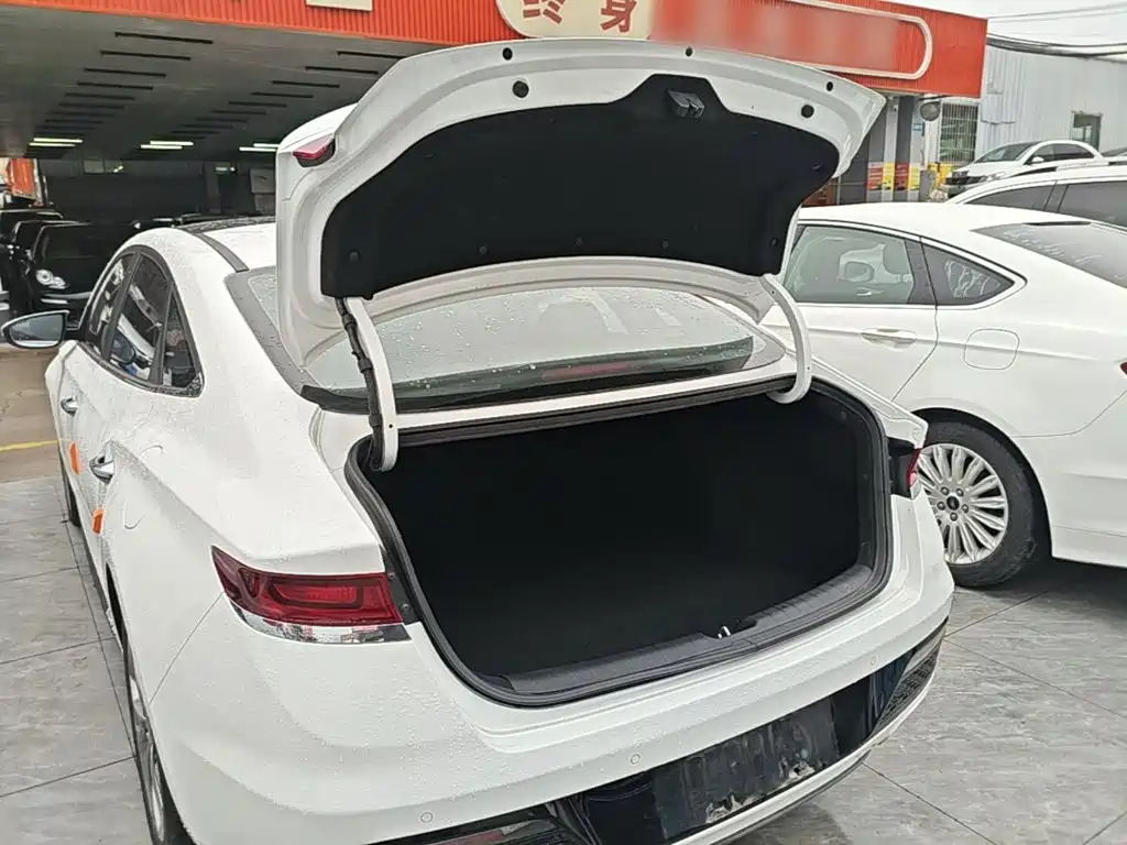 Hyundai Fista — миниатюра 19