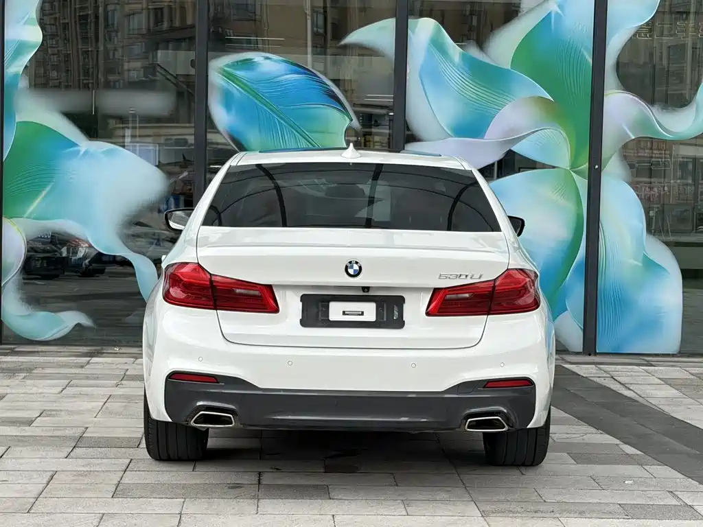BMW 5 Series — миниатюра 8