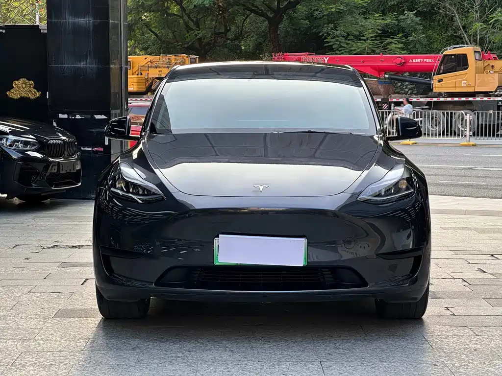 Tesla Model Y — миниатюра 2