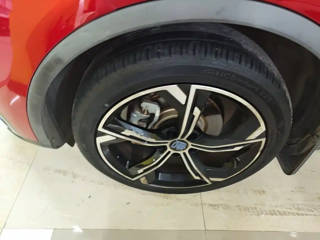 BYD Tang New Energy — миниатюра 23