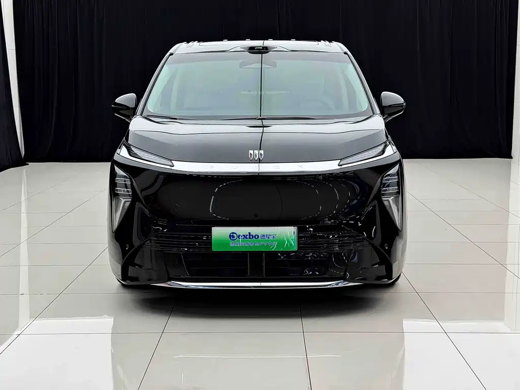 Buick Electra Encasa — миниатюра 2