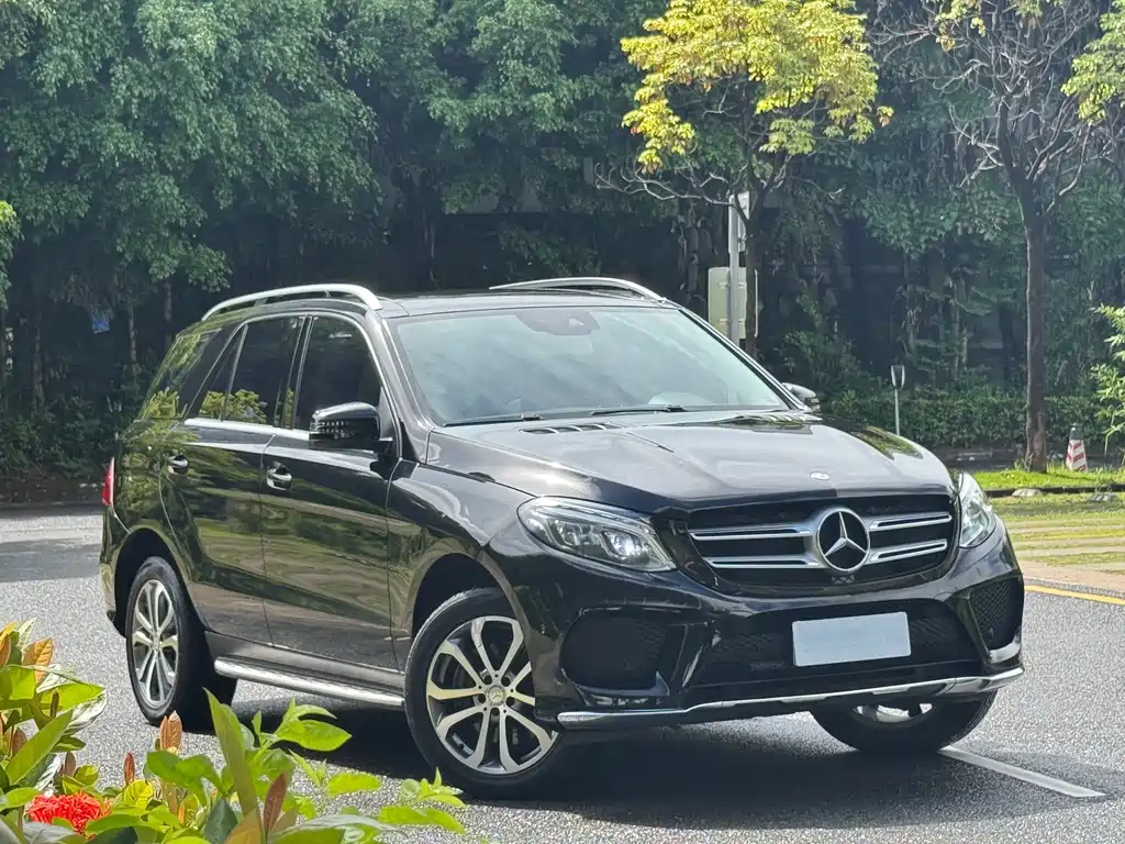 Mercedes-Benz 奔驰GLE(进口) — миниатюра 3