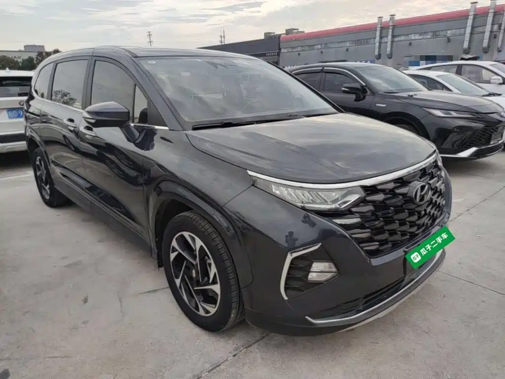 Hyundai Custo — миниатюра 4