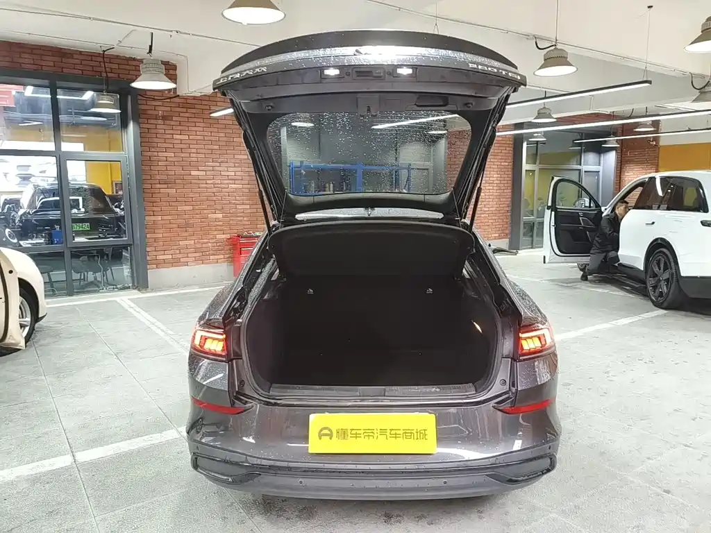 Volkswagen Lamando — миниатюра 20