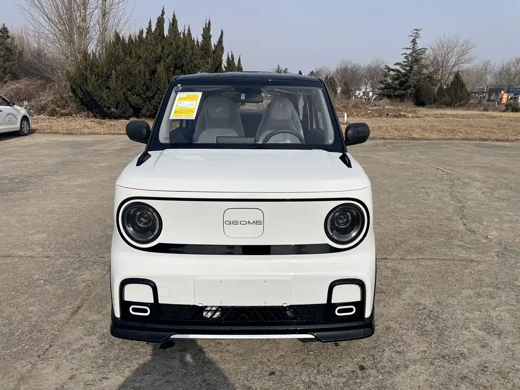 GEELY GALAXY PANDA