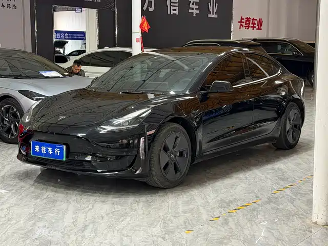 TESLA MODEL 3 2021