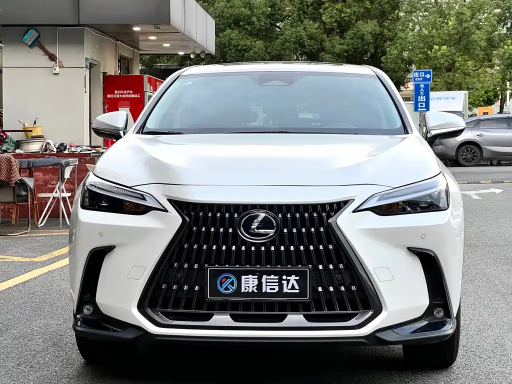 Lexus NX — миниатюра 2