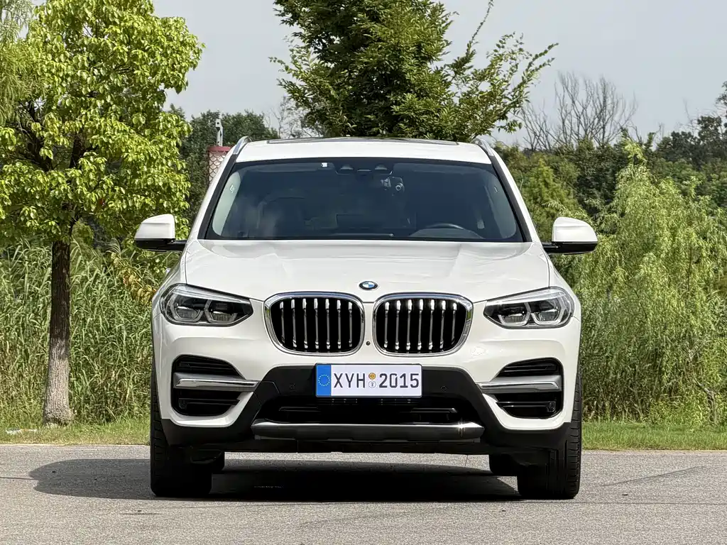 BMW X3 — миниатюра 2