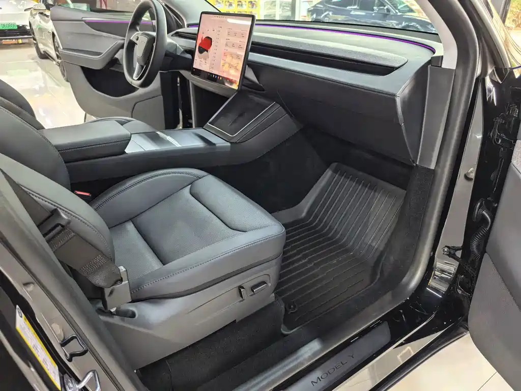 Tesla Model Y — миниатюра 11