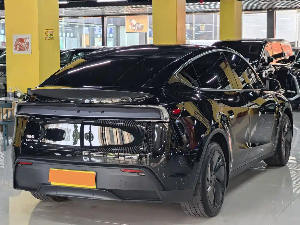 Tesla Model Y — миниатюра 16