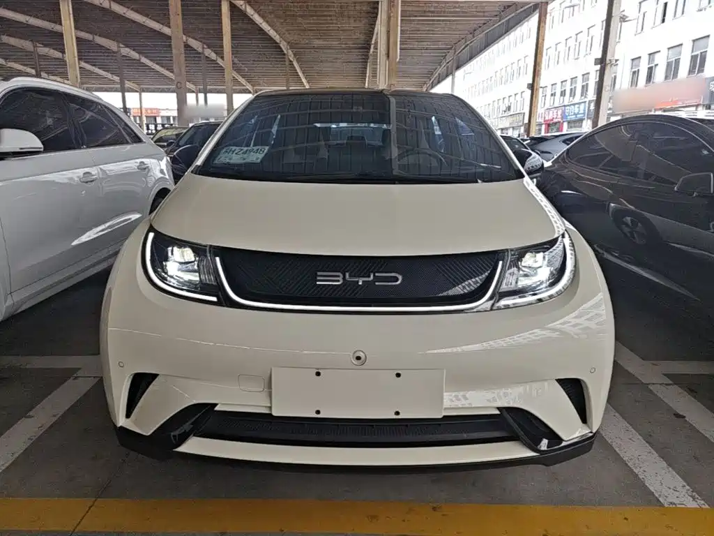 BYD Dolphin — миниатюра 3