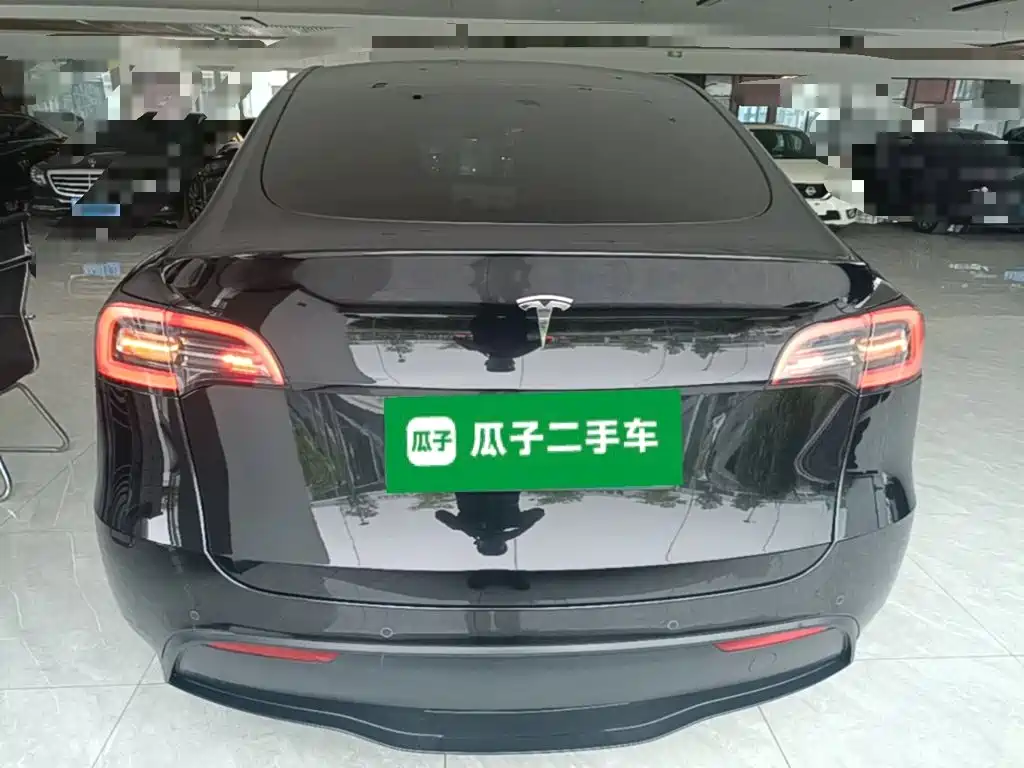 Tesla Model Y — миниатюра 6