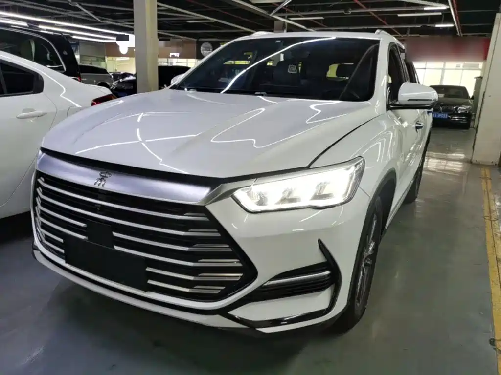 BYD Pro — миниатюра 2