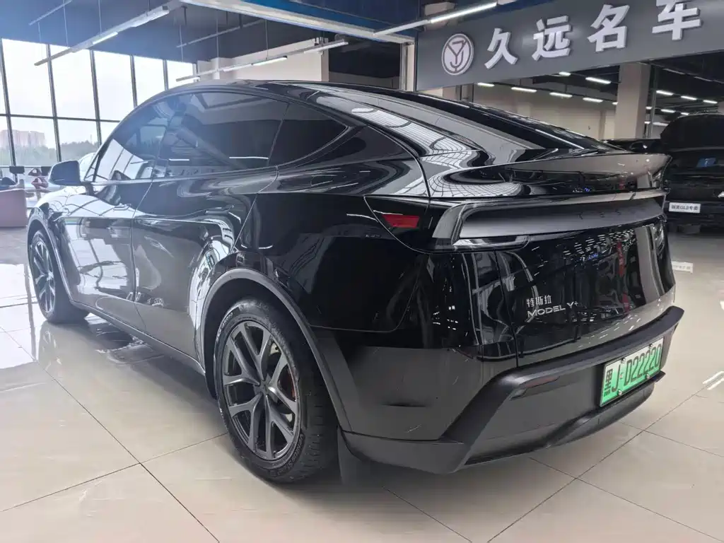 Tesla Model Y — миниатюра 6