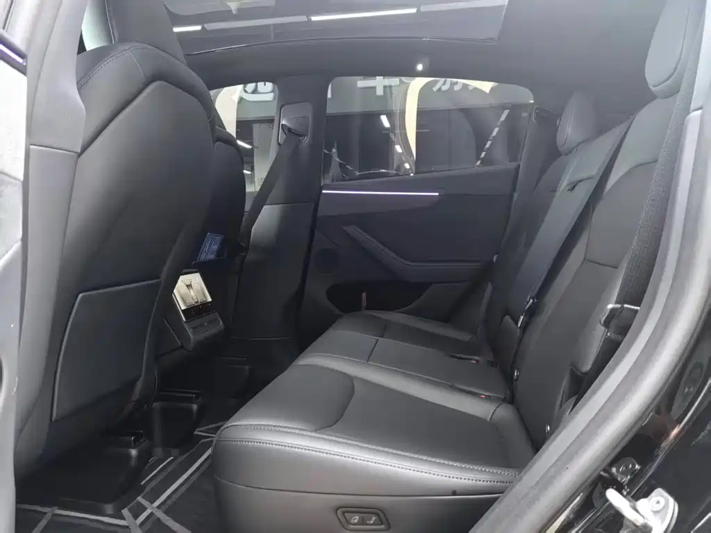 Tesla Model Y — миниатюра 9