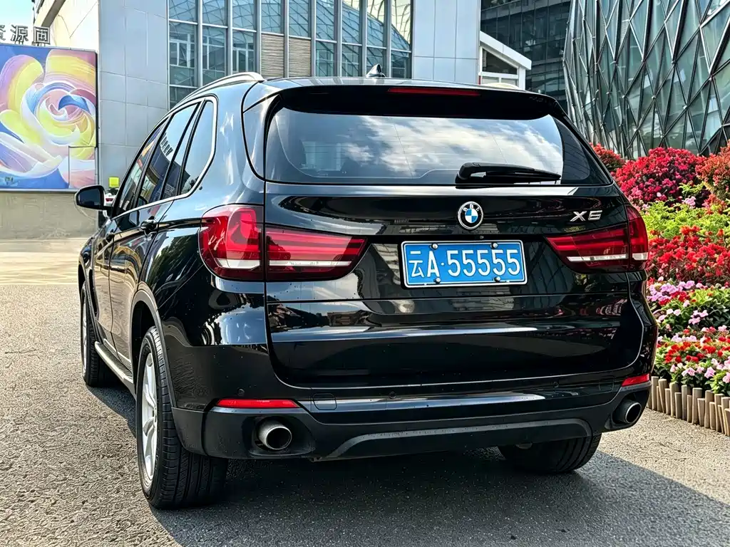 BMW X5 (Import) — миниатюра 16