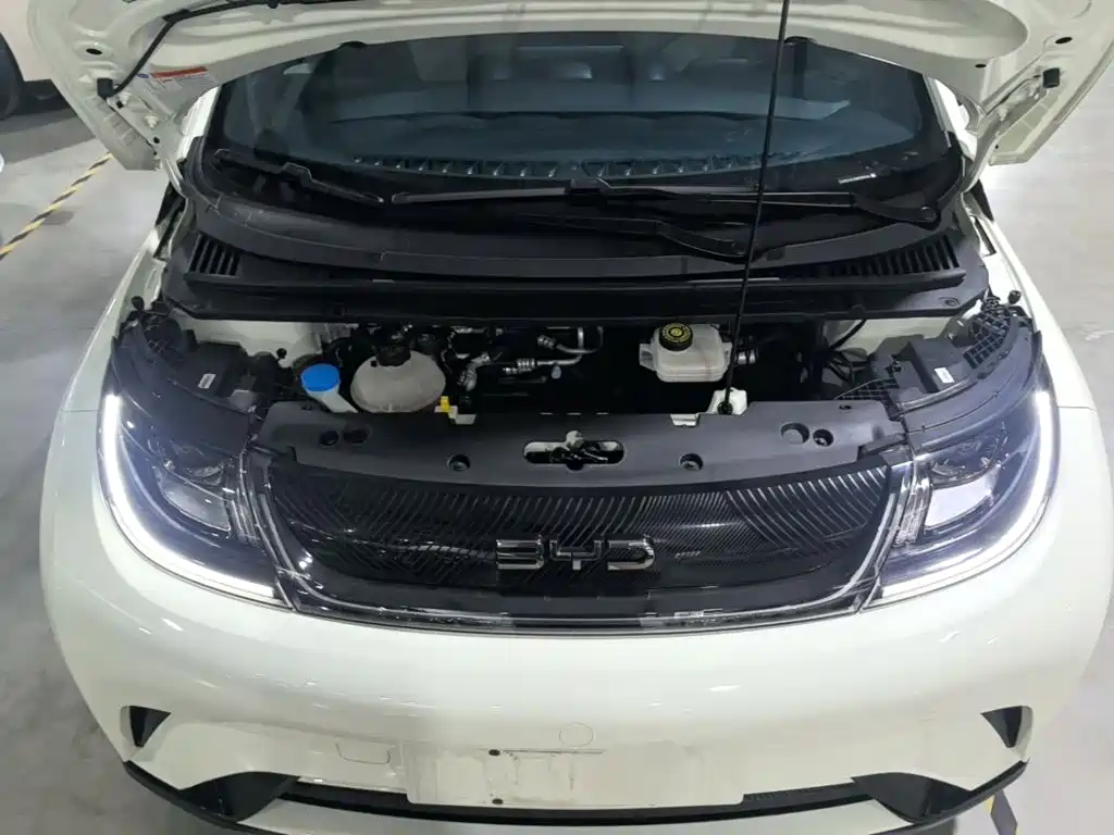 BYD Dolphin — миниатюра 20