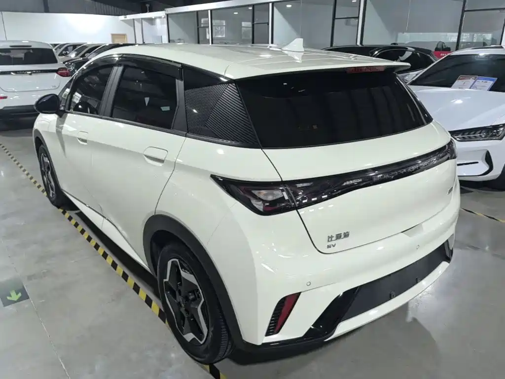 BYD Dolphin — миниатюра 5
