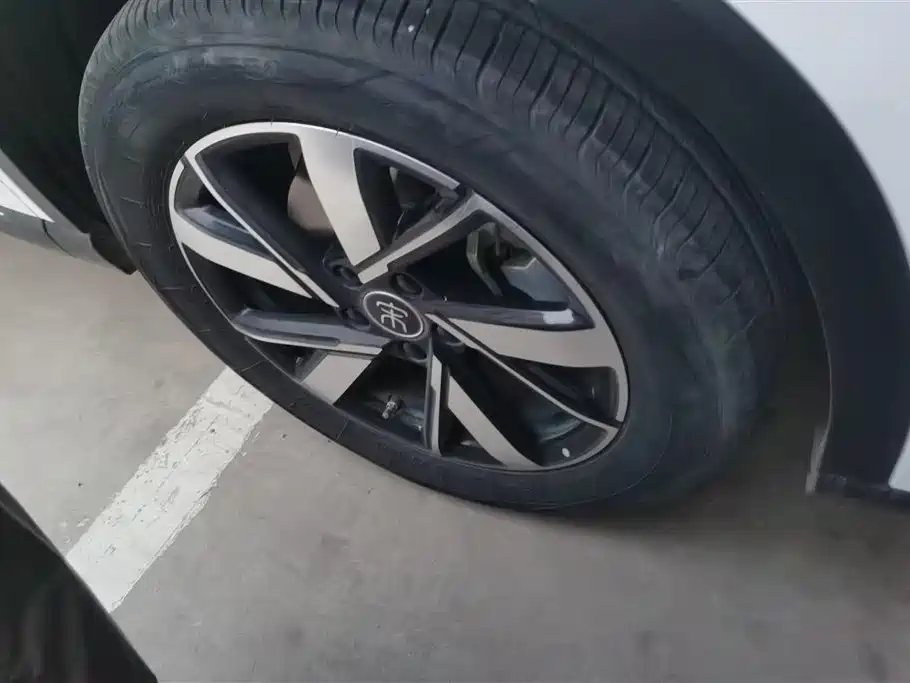 BYD SONGJIANG NEW ENERGY