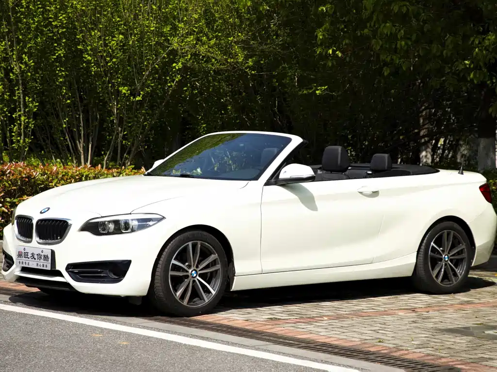 BMW 2 Series (Import) 2018