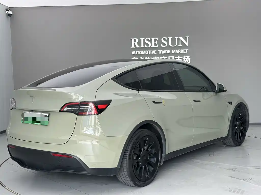 Tesla Model Y — миниатюра 4