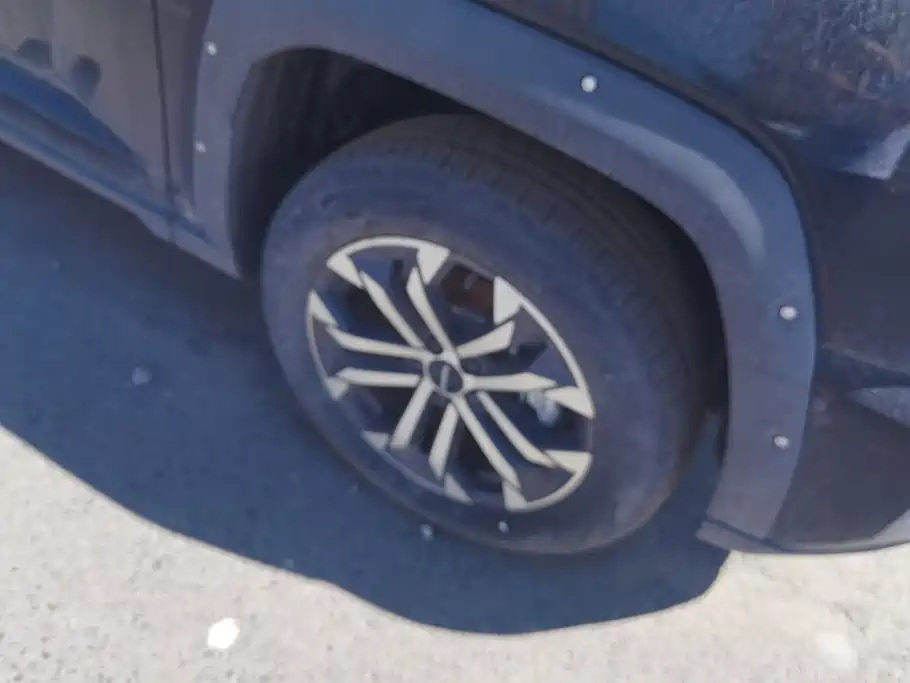 Haval Haval Big Dog PLUS — миниатюра 6