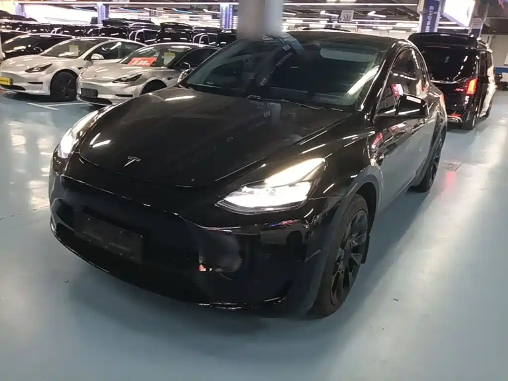 Tesla Model Y — миниатюра 2