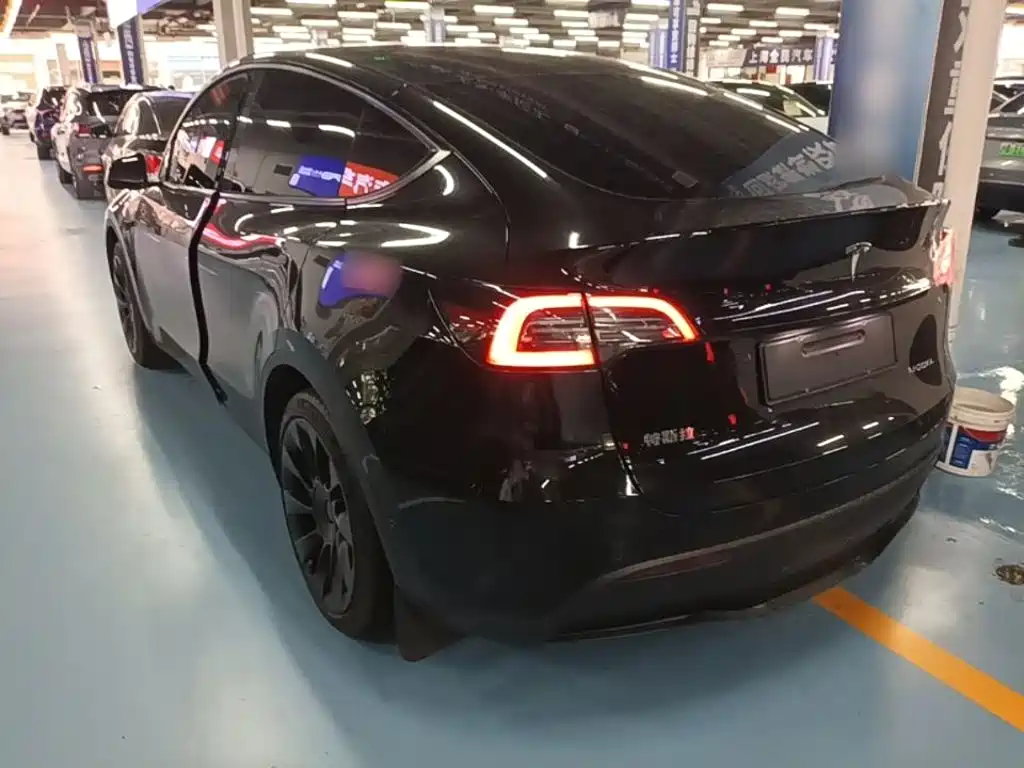 Tesla Model Y — миниатюра 5