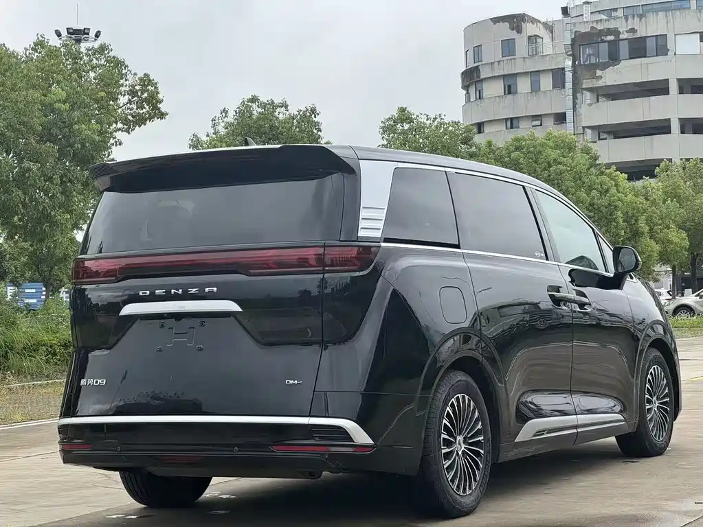 Denza Denza D9 — миниатюра 4