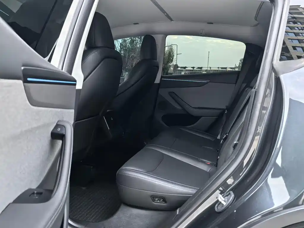 Tesla Model Y — миниатюра 6