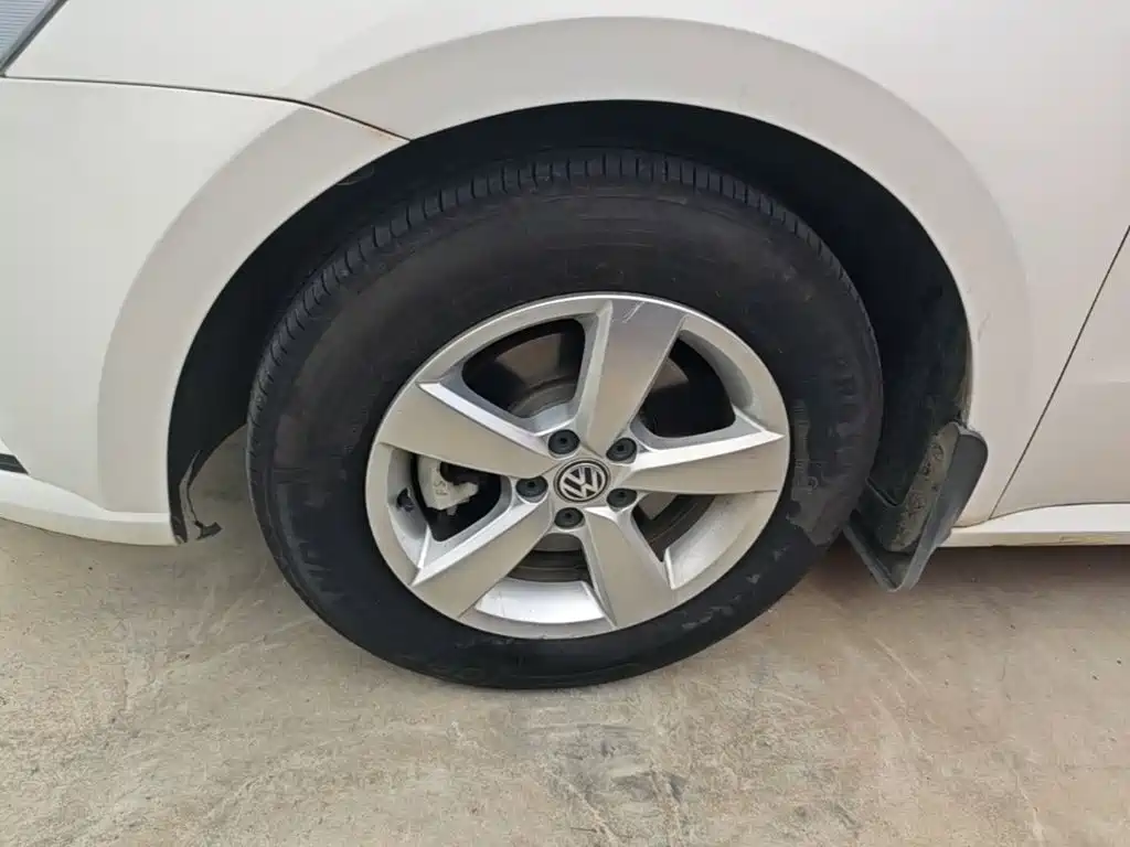 Volkswagen Gran Lavida — миниатюра 23