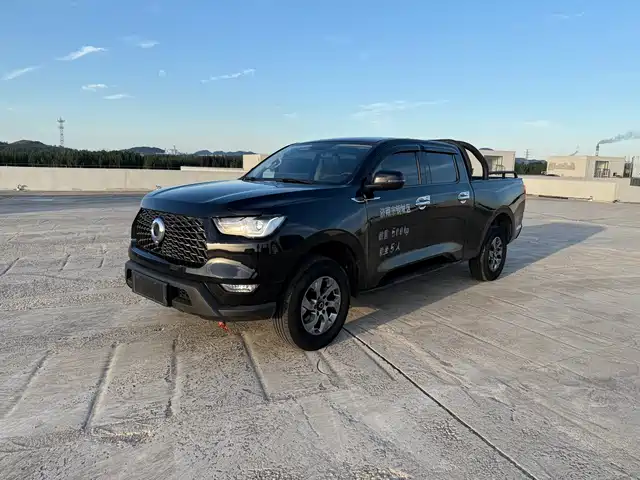 GREAT WALL CANNON 2023