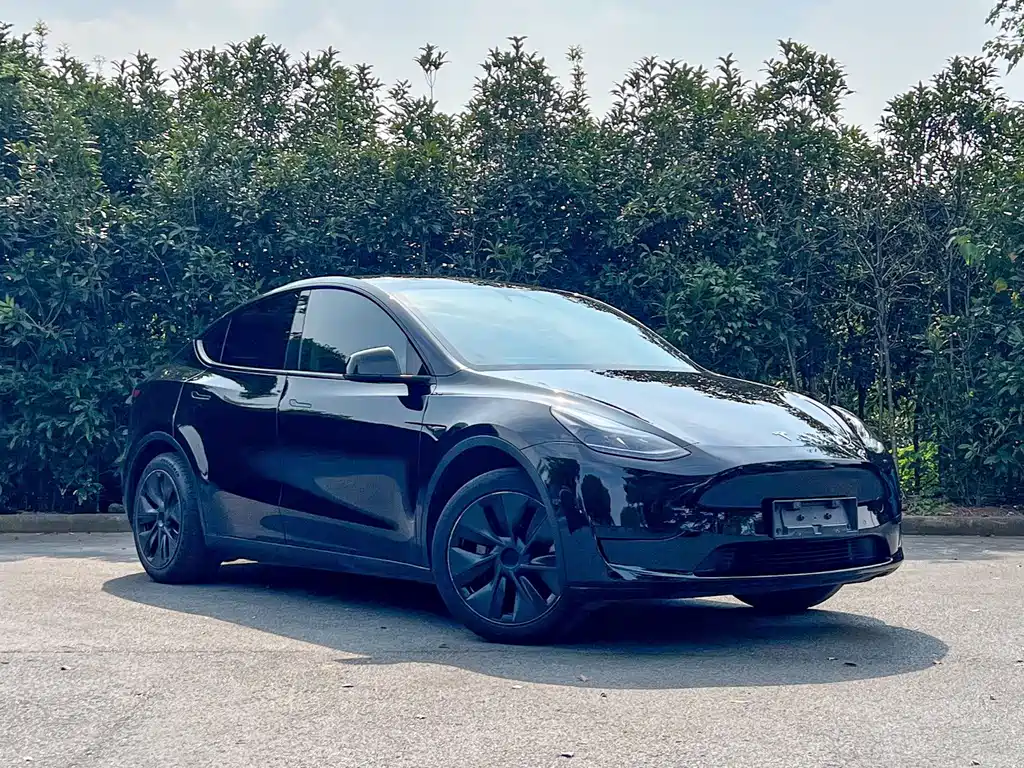 Tesla Model Y — миниатюра 3
