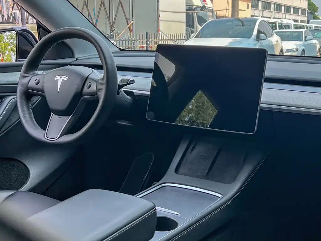 Tesla Model Y — миниатюра 10