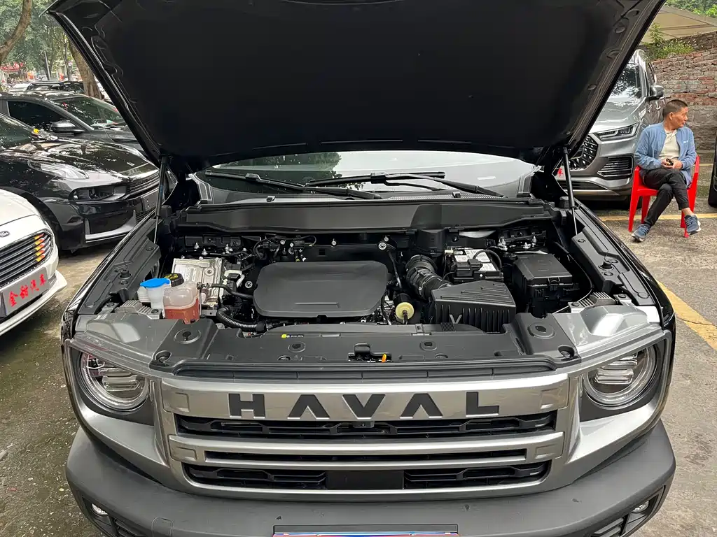 Haval Big Dog — миниатюра 15