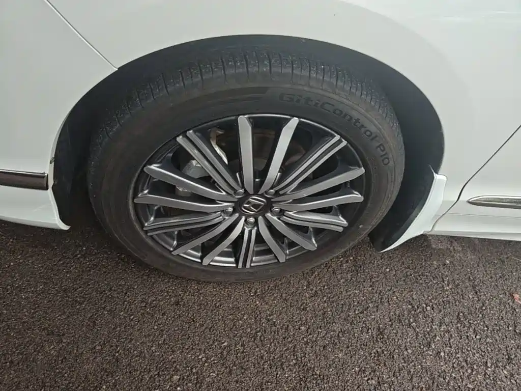 Honda Elysion — миниатюра 23