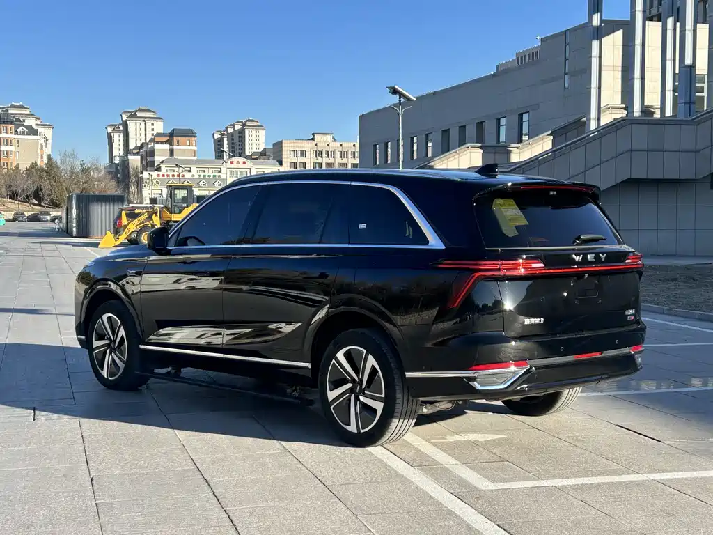 WEI PAI WEI BRAND BLUE MOUNTAIN