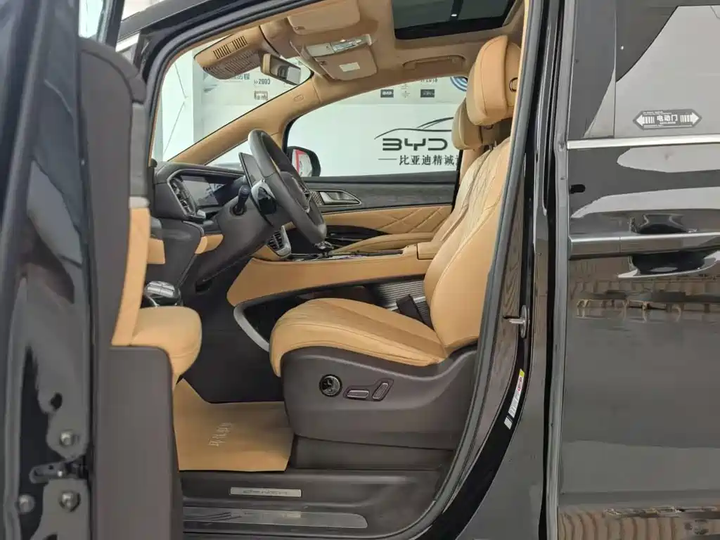 Denza Denza D9 — миниатюра 2
