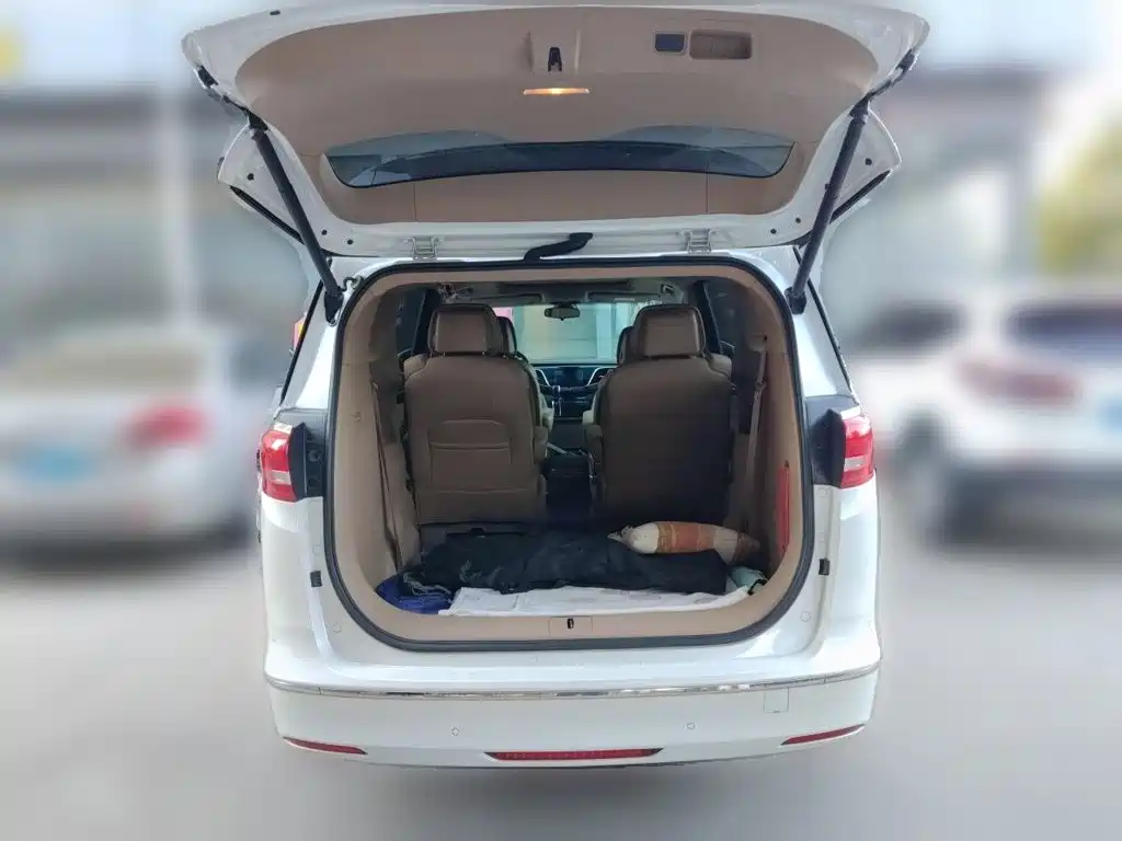 Buick GL8 — миниатюра 10